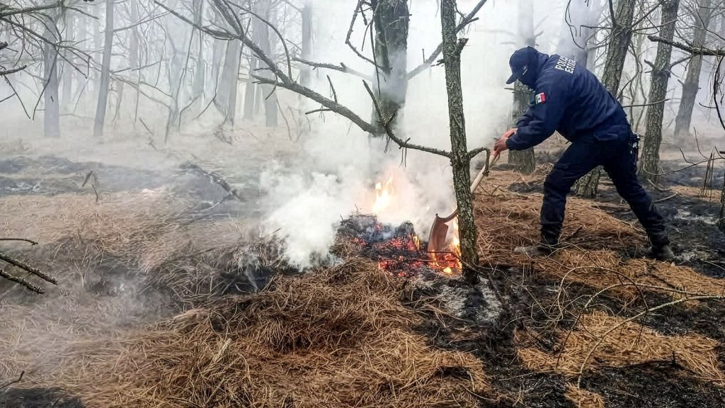 Whatsapp Image 2026 03 11 At 3.11.11 Pm