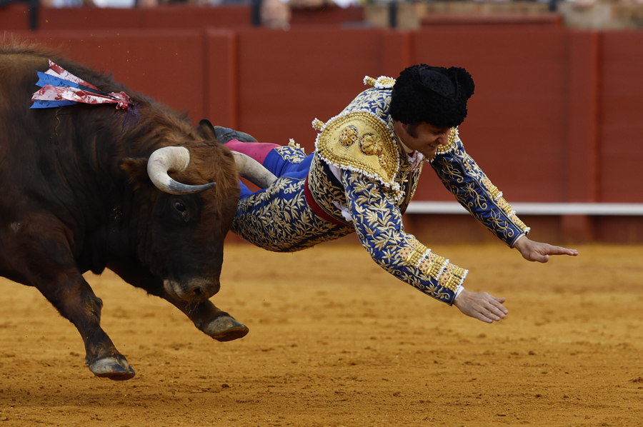 Dos toros de una gran corrida apagan, cornada incluida