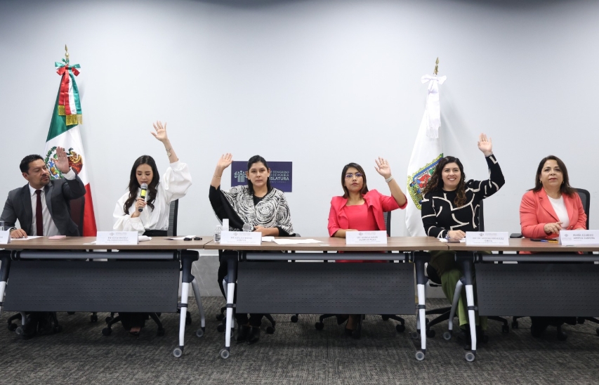 Captura De Pantalla 9 4 2026 114042 Www.congresopuebla.gob.mx