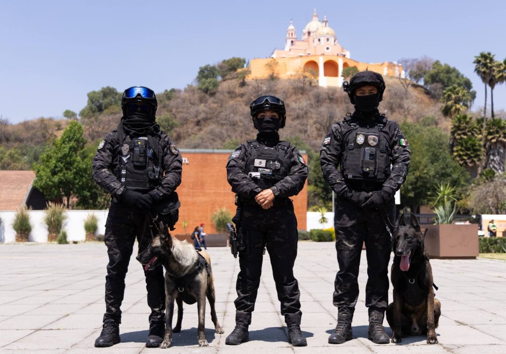 Whatsapp Image 2026 04 04 At 12.10.12 Pm