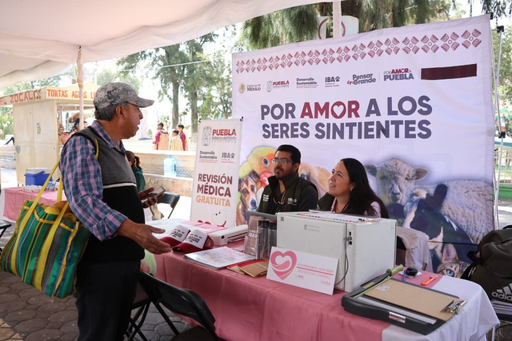 Whatsapp Image 2026 04 29 At 11.56.47