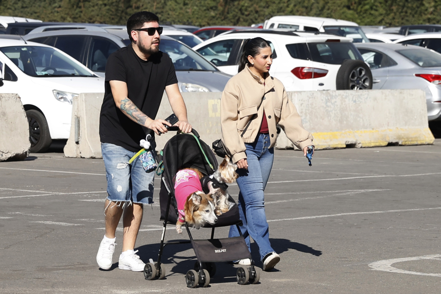 Menos Bebés Y Más Mascotas: Una Industria Que Crece En Un Chile En Crisis De Natalidad
