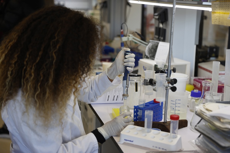 Estudian microalgas para elaborar colorantes sostenibles