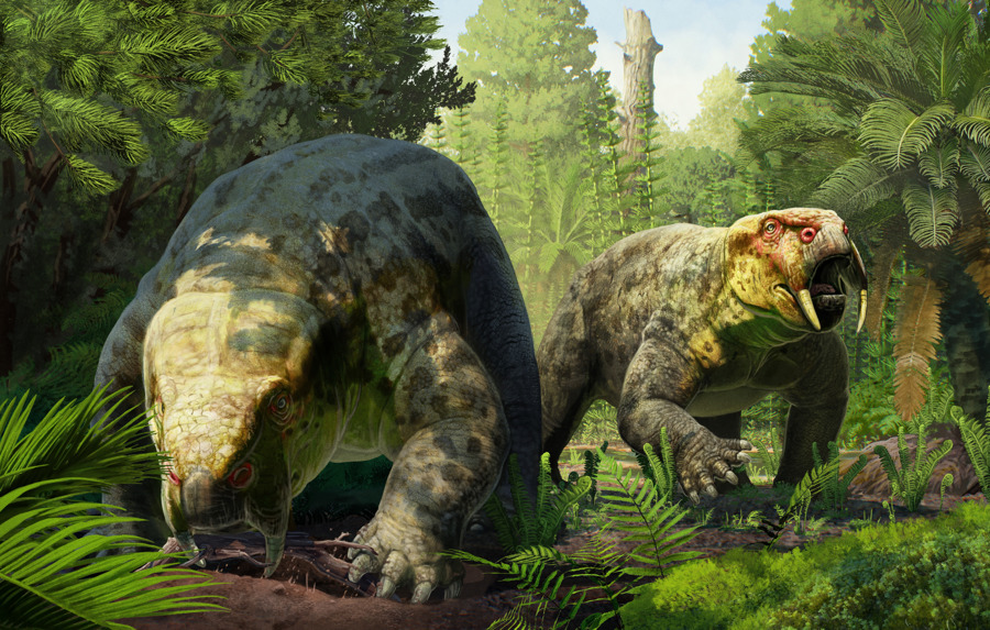 Identifican en Tanzania una nueva especie de animal prehistórico 