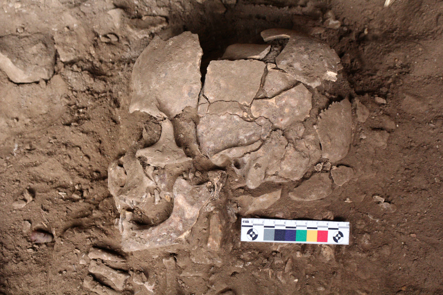 El ser humano ya habría usado drogas hace unos 25.000 años