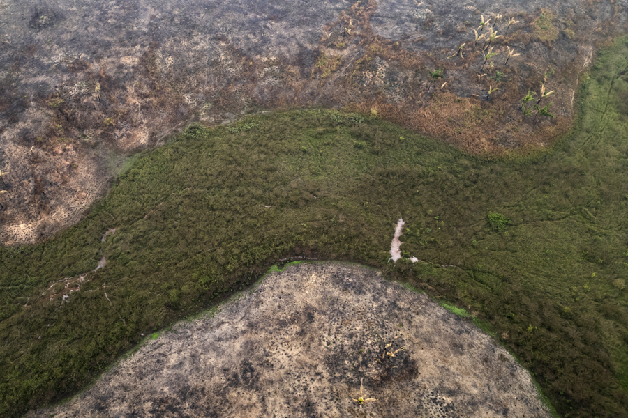 Expertos Elaboran Una Ley Modelo De Armonización Del Delito De Ecocidio En Latinoamérica