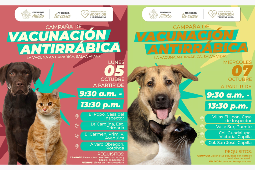 Copia De Portada